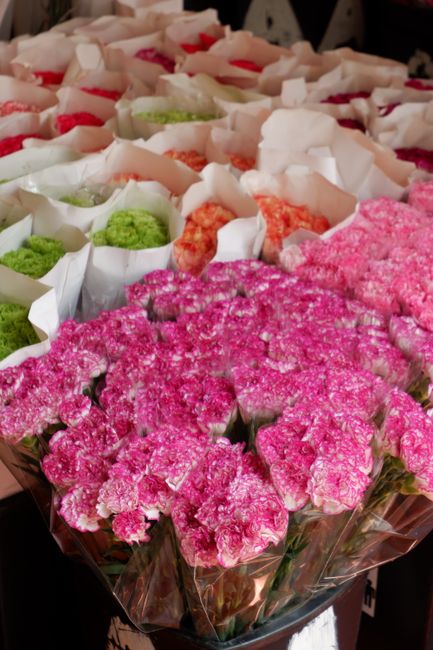 An arrangement of fresh carnations in vibrant pink, with textured petals and green stems, wrapped in clear cellophane, displayed on a surface in a florist shop. In the background, there are additional